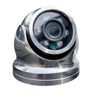 Iris Hi-Resolution Analog Mini Dome Camera – 316 Stainless Steel – CVBS – TVI – 3.6