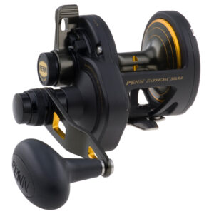 PENN FTH30LD2 Fathom&reg; Lever Drag 2 Speed Conventional Reel