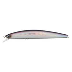 Daiwa Salt Pro Minnow – 6″ – Floating – Purple Back Silver