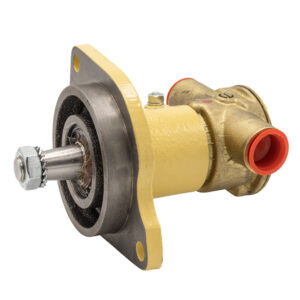 Johnson Pump F5B-9 Impeller Pump OEM – Flange Mount